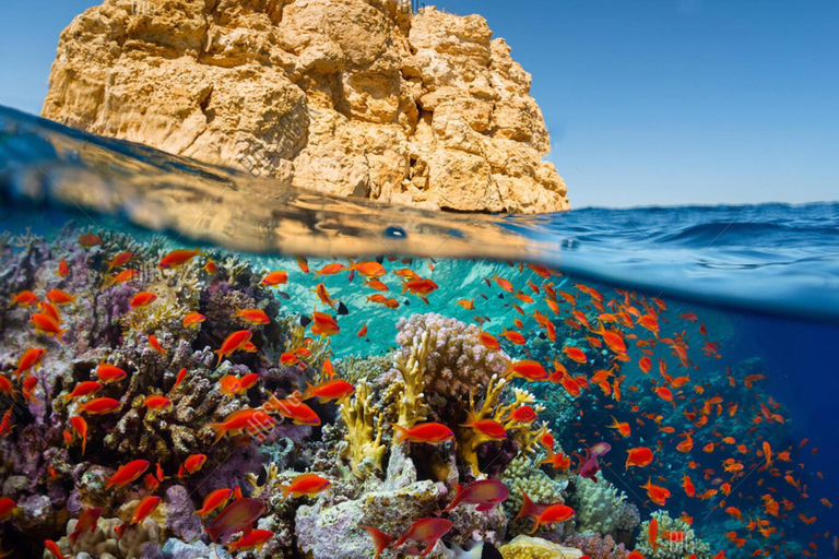 Sharm El Sheikh: Ras Mohamed Snorkeling & Diving Boat Trip Ras Mohamed & White Island – Snorkeling Package