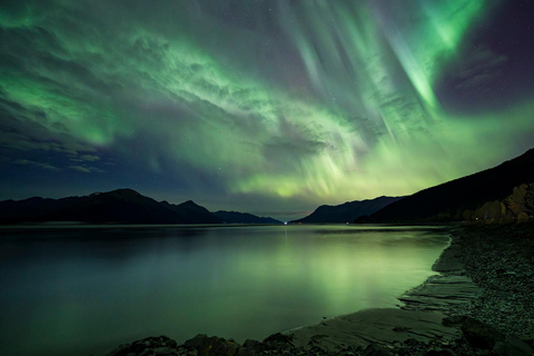 Anchorage: Aurora Borealis Northern Lights Photography Tour