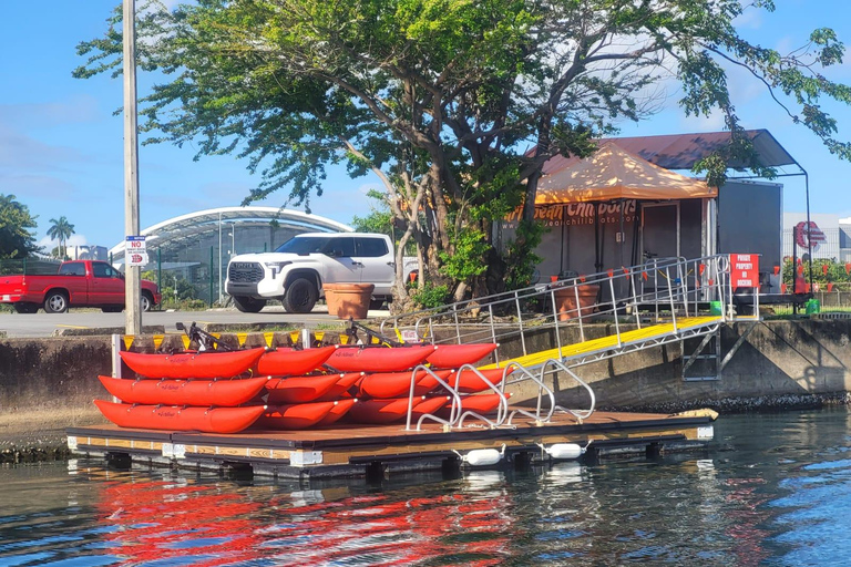 San Juan: Night Glow Adventure Chiliboats in Condado Lagoon