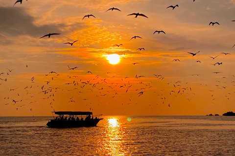 Kuala Selangor: Eagles, Fireflies & Blue Tears Boat Tour