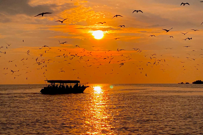 Kuala Selangor: Eagles, Fireflies & Blue Tears Boat Tour