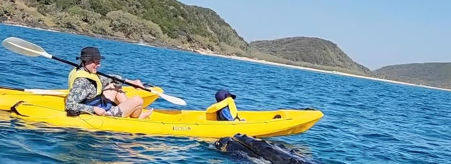 Noosa : excursion épique en kayak et 4x4 pour l'observation des baleines