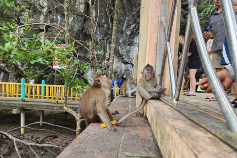 Langkawi : Passeio de caiaque pelos manguezais com almoço (manhã)