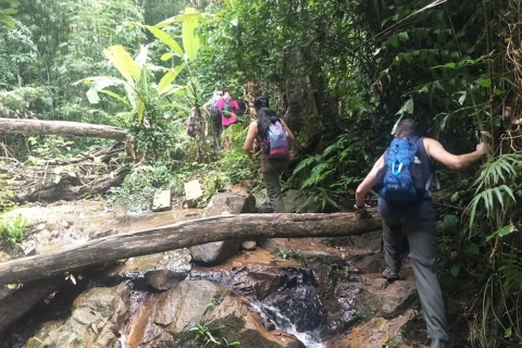 Phuket Jungle Trekking Experience at Khao Phra Taew