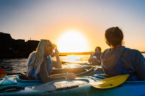 جولة قوارب الكاياك عند شروق الشمس في ميناء سيدني