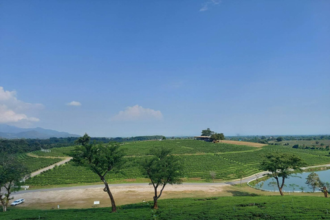 Chiang Rai:Guided Highlights Full-Day Tour-FREE LUNCH BUFFET Experience the Wonders of Chiang Rai with Free Thai Buffet