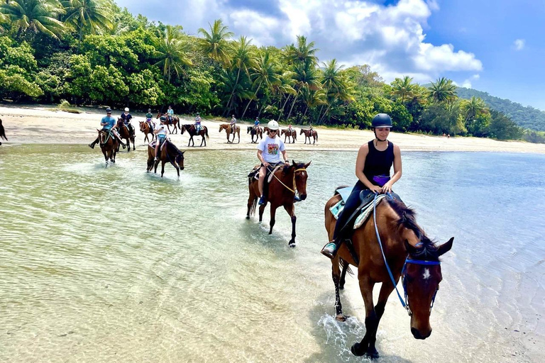 Hurghada: Tour a cavallo nel deserto e nel mare con trasferimento