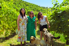 Durrës: Weingut- und Weinprobe-Tour mit malerischer Seebootfahrt