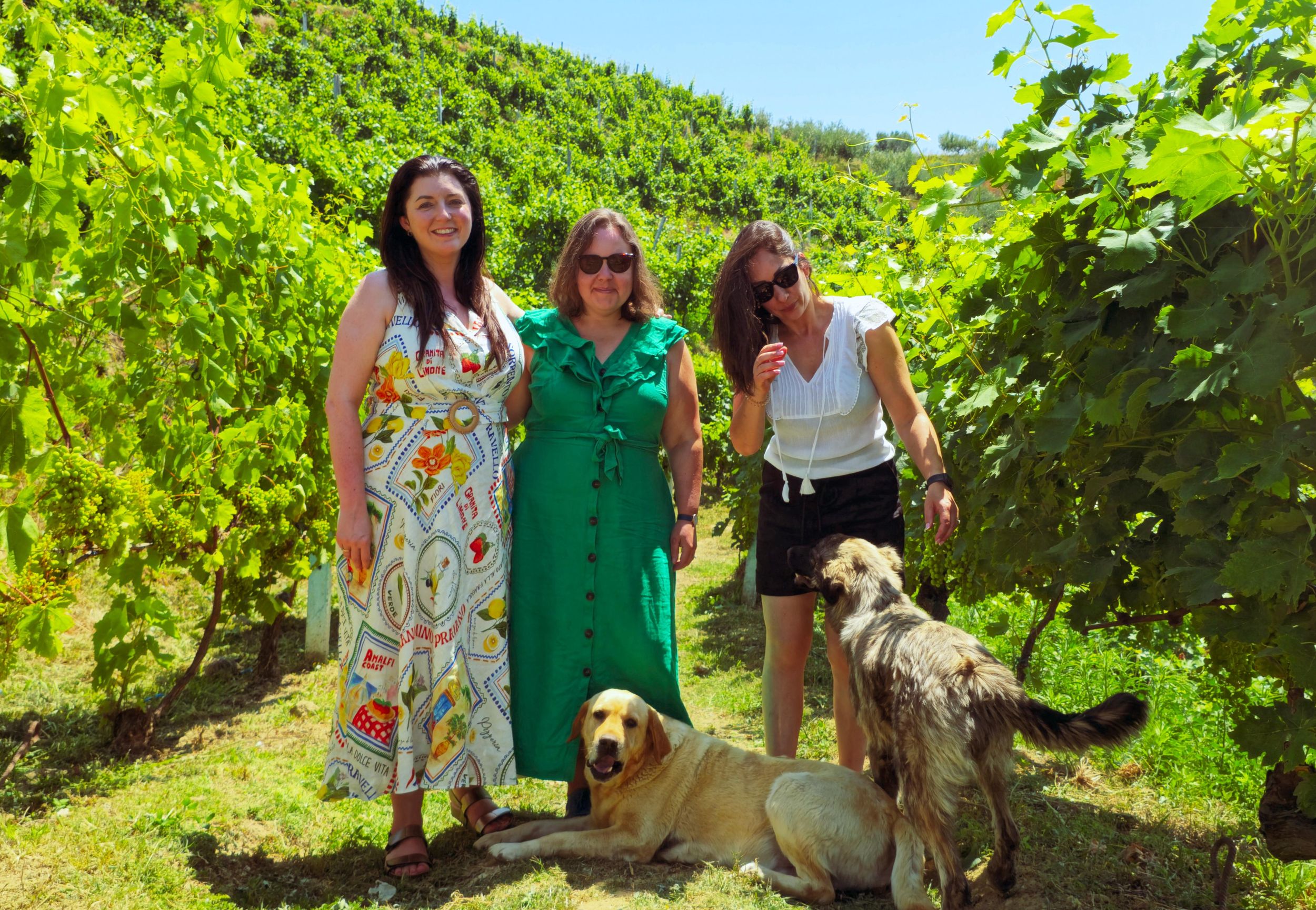 Durrës: Weingut- und Weinprobe-Tour mit malerischer Seebootfahrt