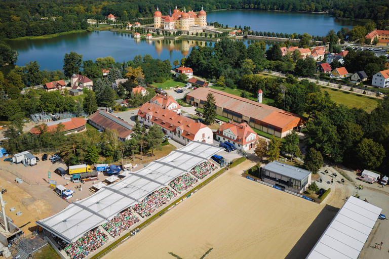 W cieniu zamku Moritzburg – zwiedzanie centrum miejscowości