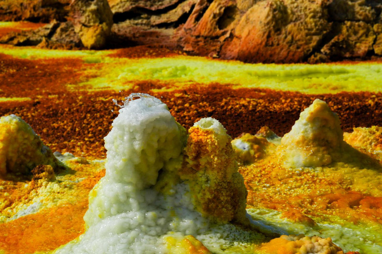 5-tägige Safari-Tour durch Awash und die Danakil-SenkeAddis Abeba: 5-tägige Safari-Tour durch Awash und die Danakil-Senke