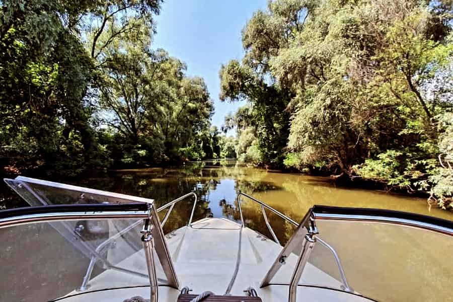 Tulcea: Bootstour durch die verborgenen Kanäle des Donaudeltas. Foto: GetYourGuide Tulcea: Bootstour durch die verborgenen Kanäle des Donaudeltas. Foto: GetYourGuide