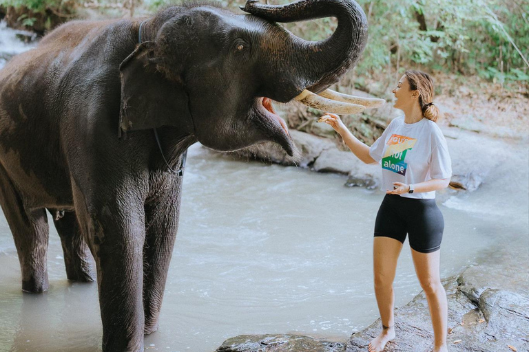 Chiang mai: Elephants Sanctuary, Waterfalls, Trekking 2 days, Sleep 1 night