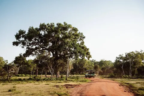 Vanuit Colombo: Udawalawe Nationaal Park Privé Jeepsafari