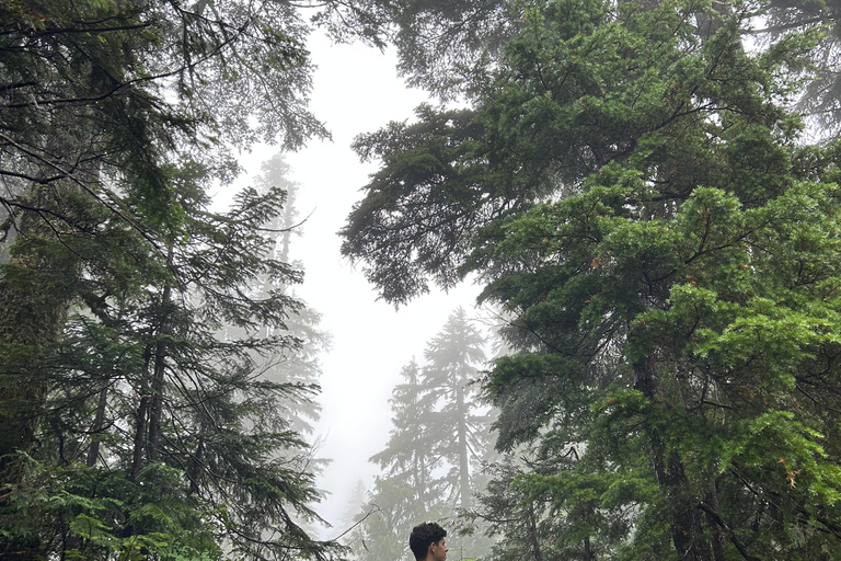 The Vancouver Summit Walk