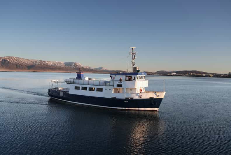 Plavba do Seyðisfjörður za přírodou a divokou faunou