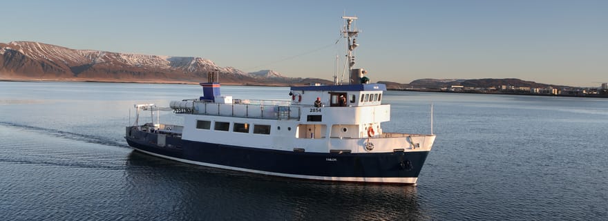 Navigation à Seyðisfjörður et dans les environs