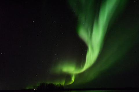 Rovaniemi: Traditional Sauna and Ice Swimming Experience