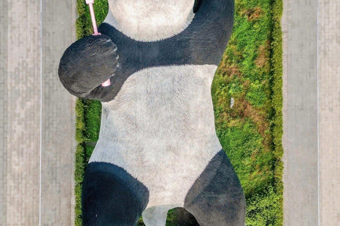 Mount Qingcheng: Tai Chi, Baduanjin Qigong or standing form