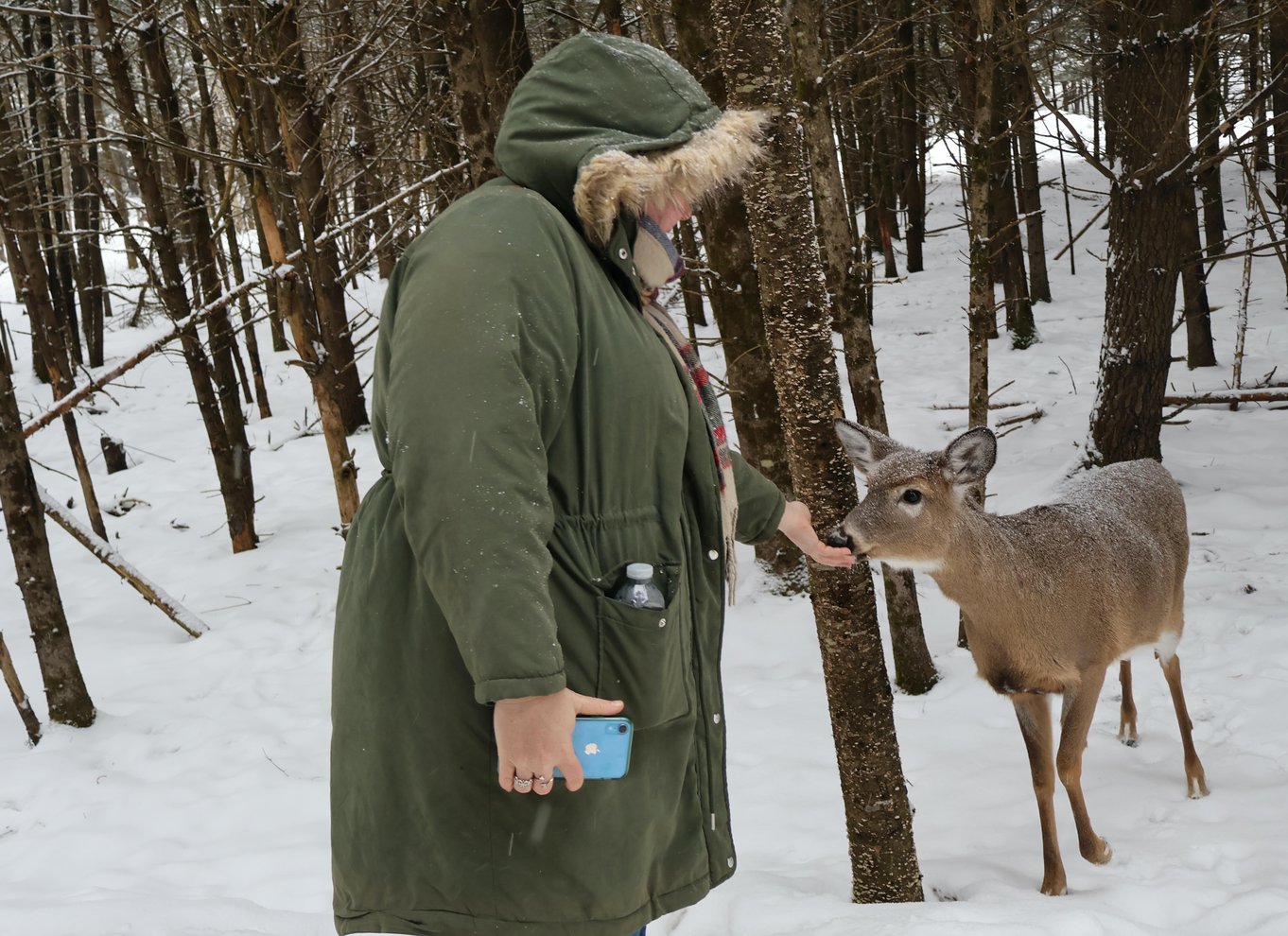 Fra Montreal: Omega Park Wildlife Safari Calling Sounds