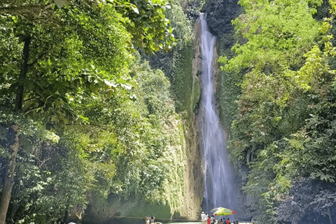 Cebu : excursion d&#039;une journée à Inambakan, Kawasan et aux chutes de Mantayupan