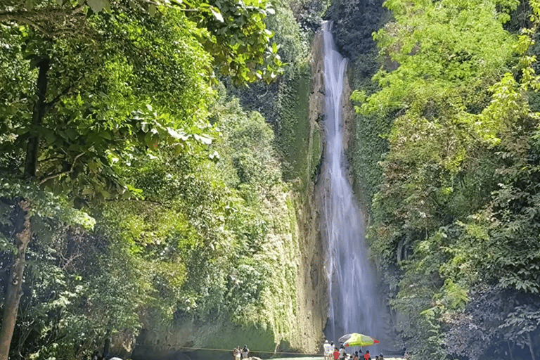 Cebu: escursione di un giorno alle cascate di Inambakan, Kawasan e Mantayupan