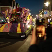 Amsterdam: Keukenhof und beleuchtete Blumenparade-Tour