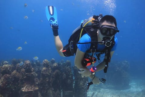 Cancun: Dive Underwater Museum & Manchones Reef