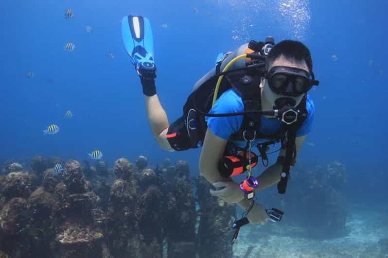 Cancún: Podmořské muzeum a útes Manchones Reef