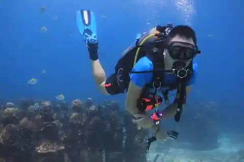 Cancún: Museo Subacuático y Arrecife Manchones