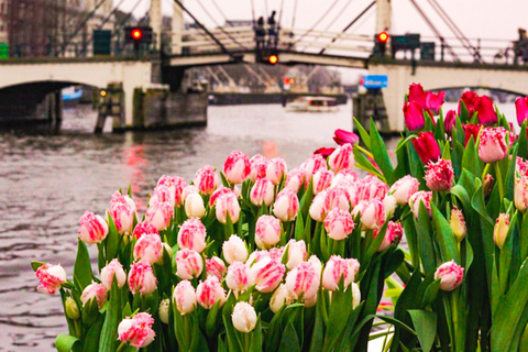 Amsterdam : Premium Tulip Boat Canal TourVisite des tulipes depuis la Maison d&#039;Anne Frank