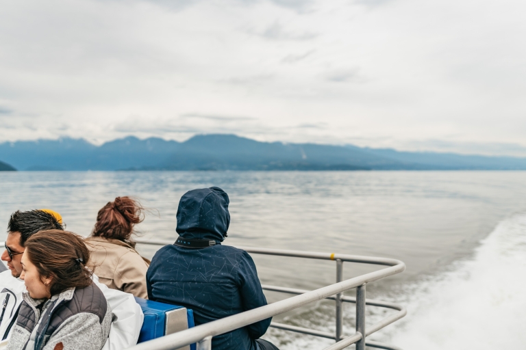 Vancouver, BC: Half-Day Whale Watching Tour