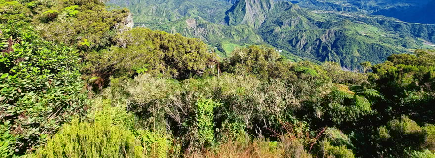 Ile de la Réunion : Visite guidée à Salazie avec déjeuner