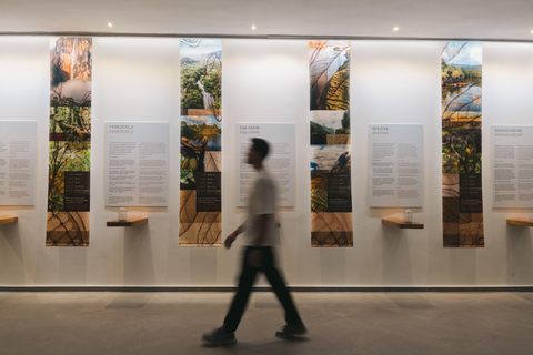 Porto: Chocolate Museum - Unwrap the Secrets of Chocolate Standard Ticket