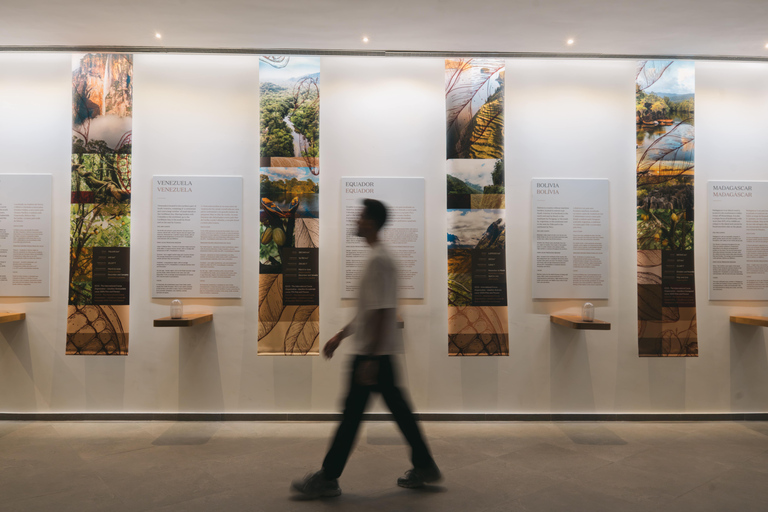 Porto: Chocolate Museum - Unwrap the Secrets of Chocolate Standard Ticket