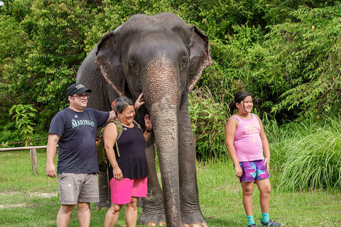 Excursión a la Selva de Elefantes de Kulen con recogida y regreso al hotel