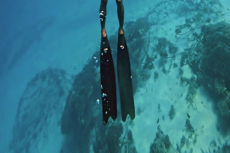 Private Snorkeling in Gili Trawangan, meno & air with goopro Option 1:Private Snorkeling in Gili T,meno & air with goopro