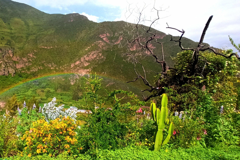 EXPERIENTIAL TOURISM AND FULL DAY MEDICINAL PLANTS CLASSES