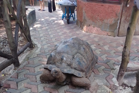 Zanzibar: tour guidato dell'isola prigione con guida localeZanzibar: tour guidato dell'isola prigione con una guida locale