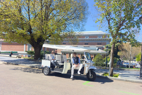 Madrid: Private Tuk Tuk Tour with Expert Guide and Panoramic Views The Classics Tour ~ Discover Madrid in 60 minutes from your STARTING POINT!