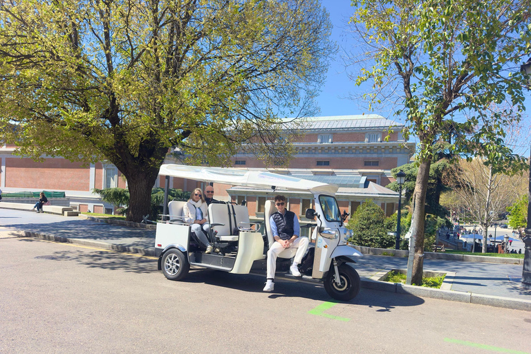 Madrid: Private Tuk Tuk Tour with Expert Guide and Panoramic Views The Classics Tour ~ Discover Madrid in 60 minutes from your STARTING POINT!