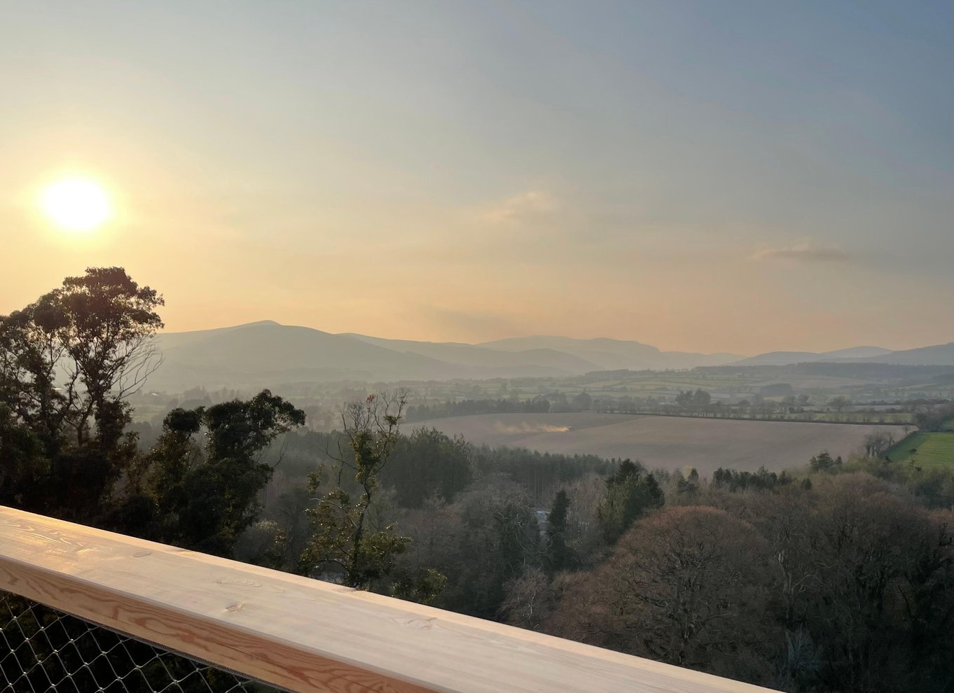 Individuelle entrébilletter til trætopstien og udsigtstårnet