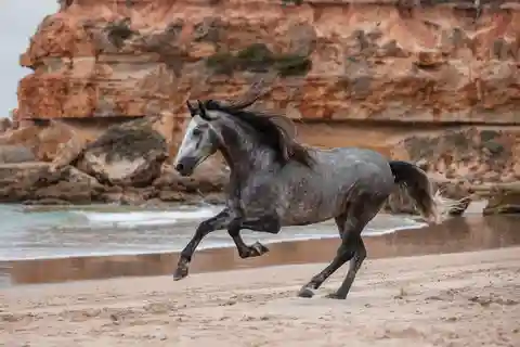 Zanzíbar: Paseos a Caballo y Visita al Acuario de Tortugas