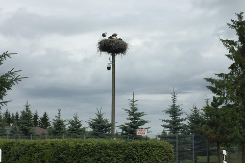 Baltics: Private Multi-Day Tour with Flexible Start