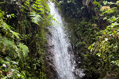 Quito: 2-Day Cloud Forest Experience