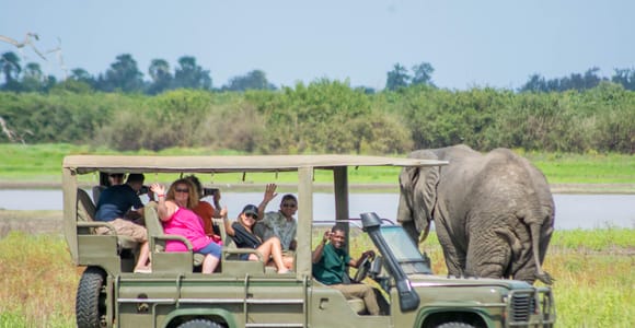 From Zanzibar: Nyerere National Park Game Drive with Lunch