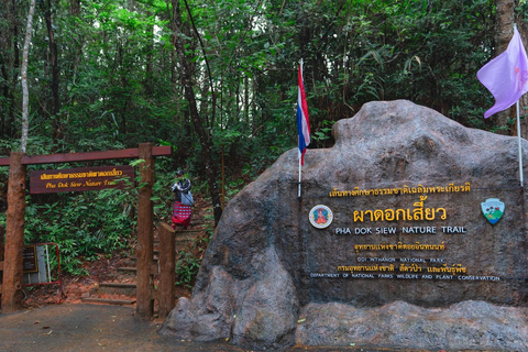 Randonnée dans le parc national de Doi Inthanon et randonnée sur le sentier de Pha Dok SiewVisite du parc national de Doi Inthanon et randonnée sur le sentier Pha Dok Siew