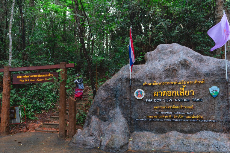 Trekking nel Parco Nazionale di Doi Inthanon e sentiero di Pha Dok Siew