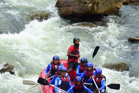 From Kandy: Kithulgala Tuk Tuk Day Tour