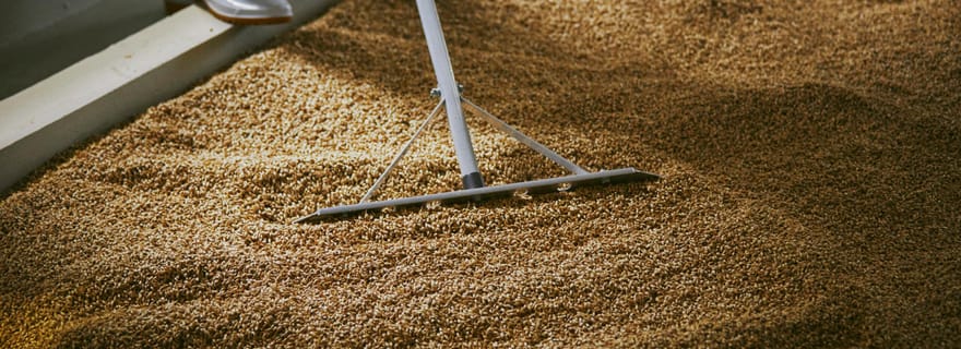 Ibaraki : visite et dégustation de saké ou de whisky à la brasserie Kiuchi